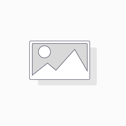 Graphic Designer